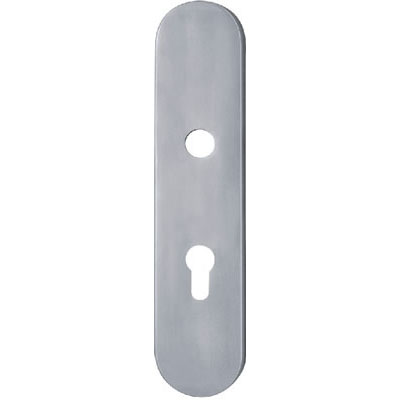 Stainless Steel Handle Plate